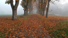 Herbststimmung