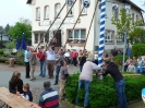 Maibaum 2009